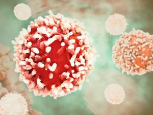 Understanding missed diagnostic opportunities in bladder and kidney cancer (PhD)
