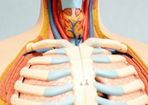 Examination of diagnostic pathways of people with lung cancer (PhD)